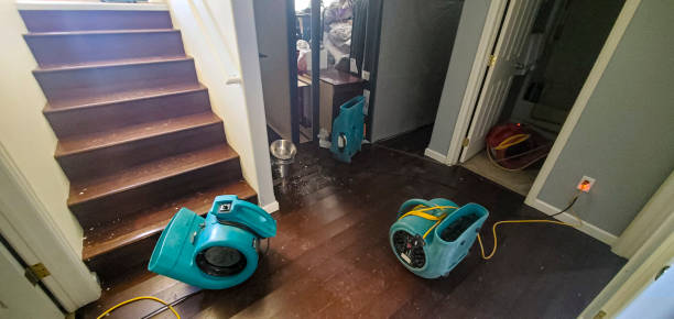 Best Fire Damage Restoration  in Palm Beach Shores, FL