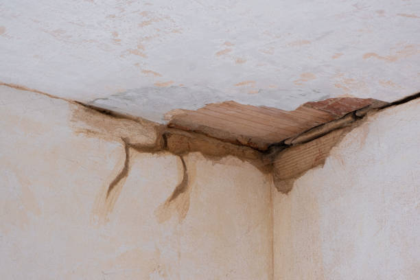 Best Carpet water damage restoration  in Palm Beach Shores, FL