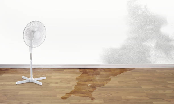 Best Sewage cleanup and water damage restoration  in Palm Beach Shores, FL