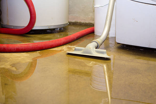 Best 24-hour water damage restoration  in Palm Beach Shores, FL