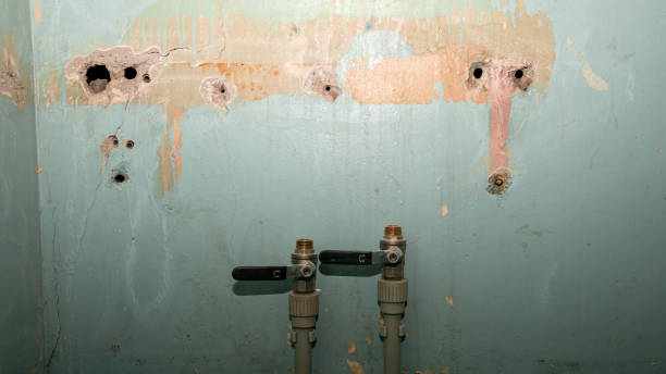 Best Local water damage restoration  in Palm Beach Shores, FL