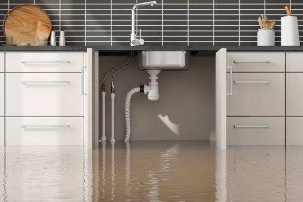  Palm Beach Shores, FL Water damage restoration Pros
