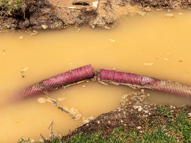 Best Professional water damage repair  in Palm Beach Shores, FL