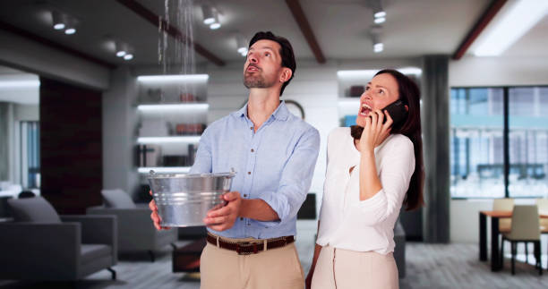 Best Water damage restoration company  in Palm Beach Shores, FL
